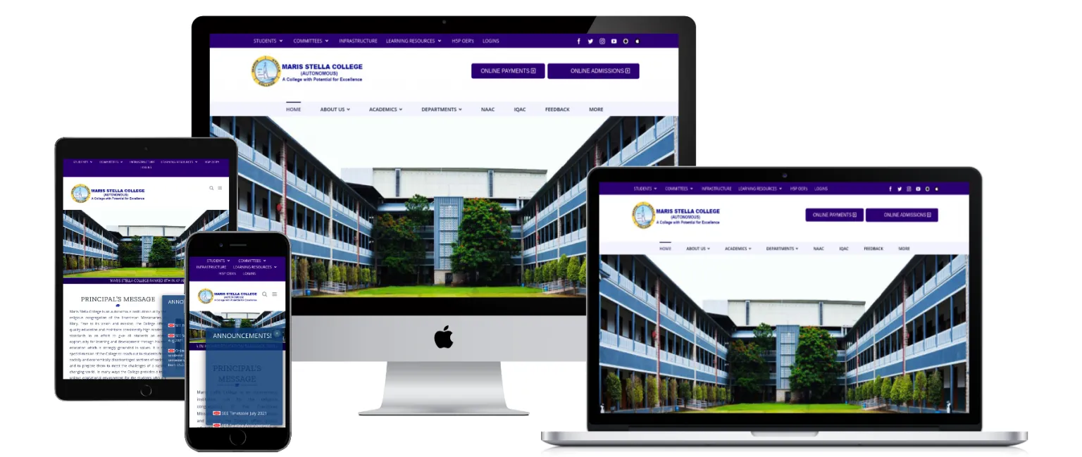 Our Portfolio 341