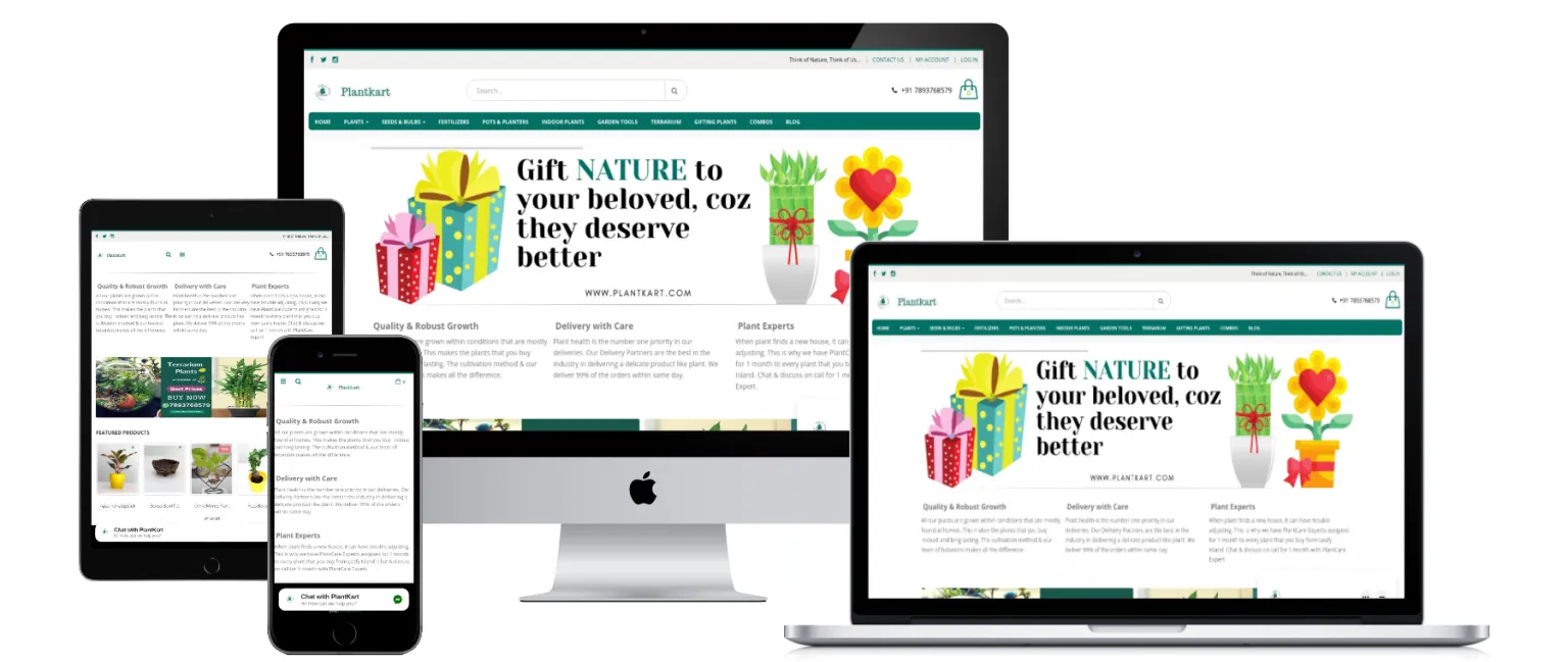 Our Portfolio 353